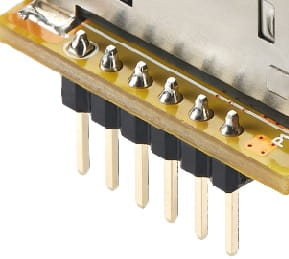 pin.jpg