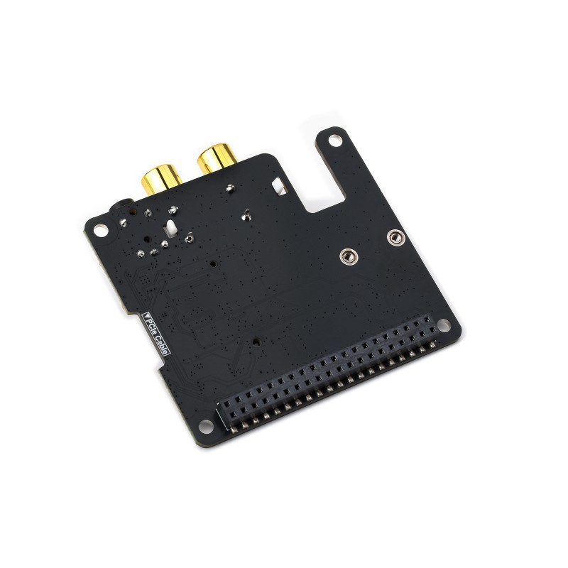 M.2 PCM5122 AUDIO HAT 34170