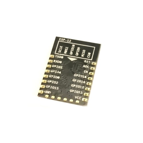 ESP 12 1.jpg
