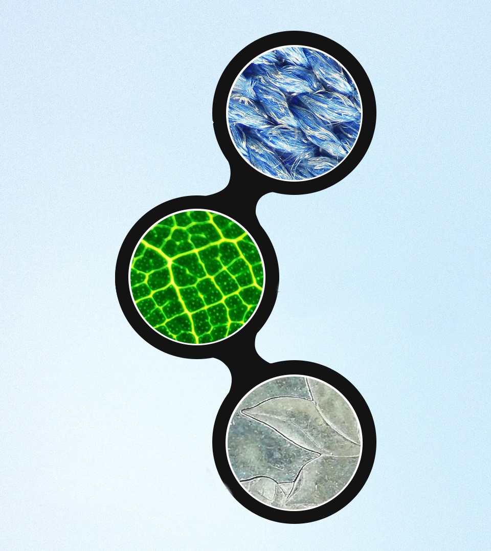 Industrial 100X Microscope Lens for Raspberry Pi HQ