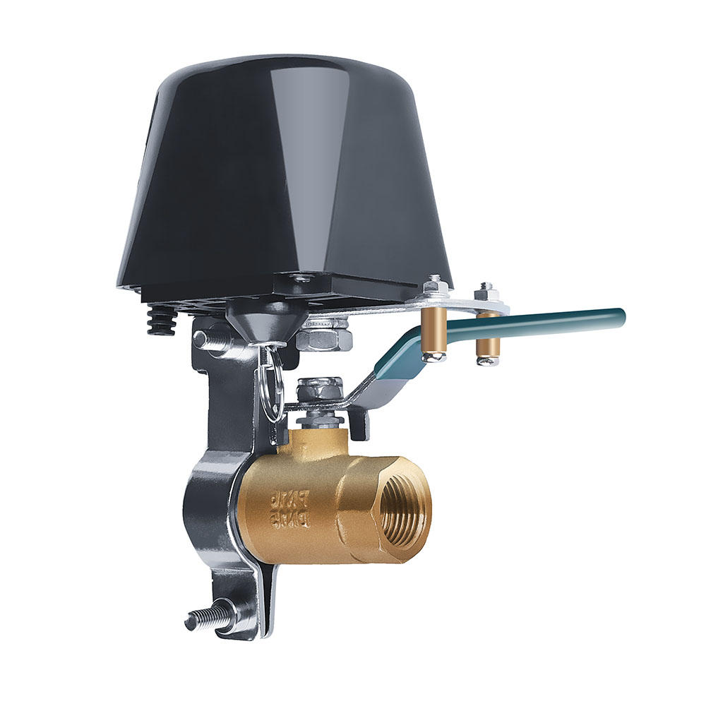 Inteligentne ramie do sterowania zaworem wody/gazu WiFi RTX dla aplikacji Tuya